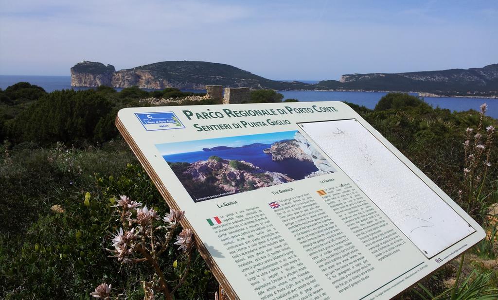Hotel Damarilu Alghero Exteriér fotografie